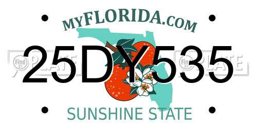 25DY535 Florida License Plate