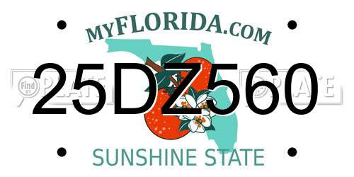 25DZ560 Florida License Plate