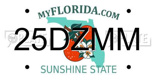 25DZMM Florida License Plate