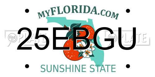 25EBGU Florida License Plate
