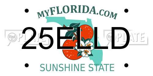 25ELLD Florida License Plate