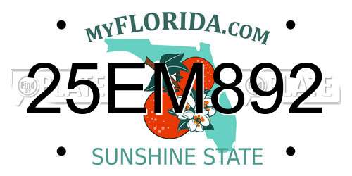 25EM892 Florida License Plate