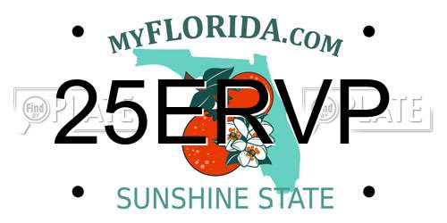 25ERVP Florida License Plate
