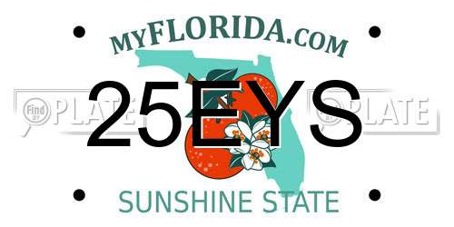 25EYS Florida License Plate