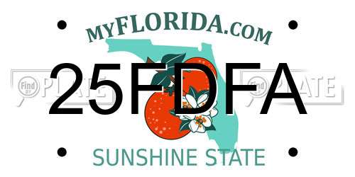 25FDFA Florida License Plate
