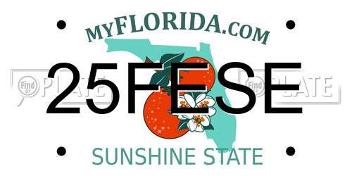 25FESE Florida License Plate