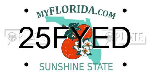 25FYED Florida License Plate