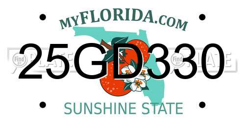 25GD330 Florida License Plate