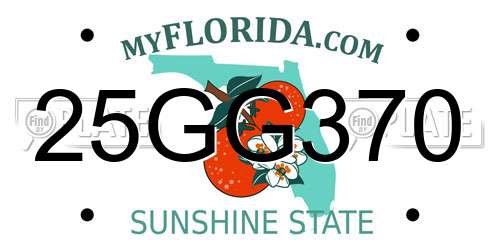 25GG370 Florida License Plate