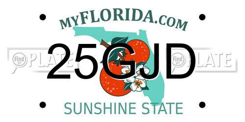 25GJD Florida License Plate