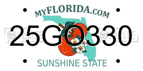 25GO330 Florida License Plate