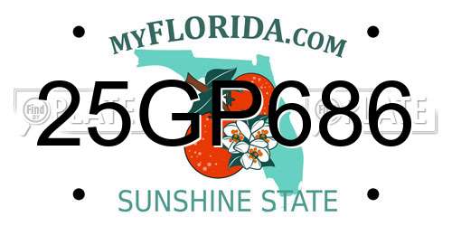 25GP686 Florida License Plate