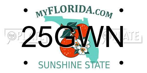 25GWN Florida License Plate