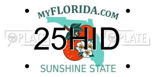 25HID Florida License Plate