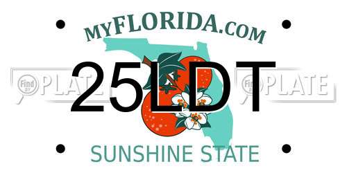 25LDT Florida License Plate
