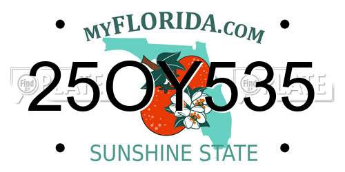 25OY535 Florida License Plate