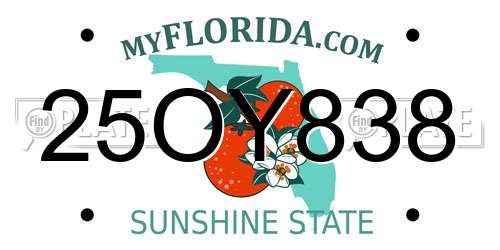 25OY838 Florida License Plate