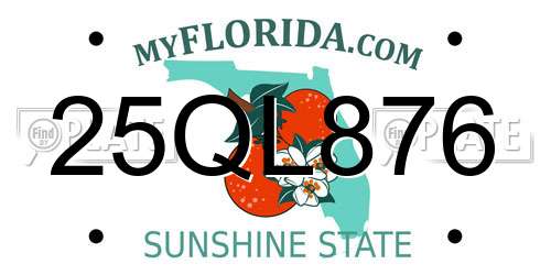 25QL876 Florida License Plate