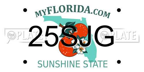 25SJG Florida License Plate