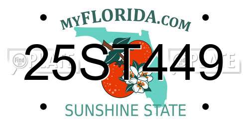 25ST449 Florida License Plate
