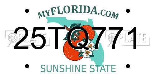 25TQ771 Florida License Plate