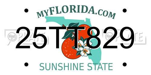 25TT829 Florida License Plate