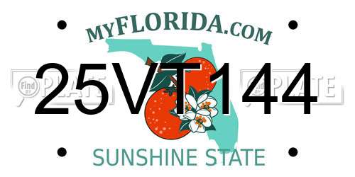 25VT144 Florida License Plate