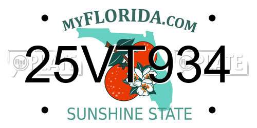 25VT934 Florida License Plate