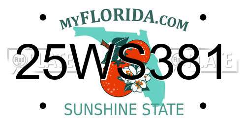 25WS381 Florida License Plate