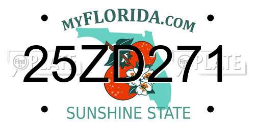 25ZD271 Florida License Plate