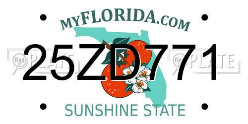 25ZD771 Florida License Plate