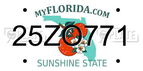 25ZO771 Florida License Plate