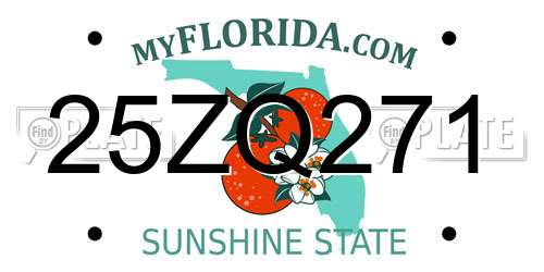 25ZQ271 Florida License Plate