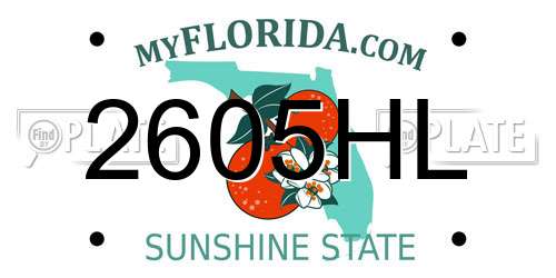 2605HL Florida License Plate