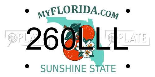 260LLL Florida License Plate