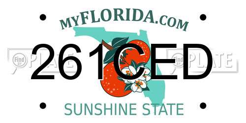 261CED Florida License Plate