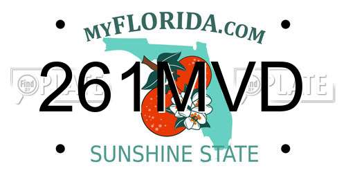 261MVD Florida License Plate