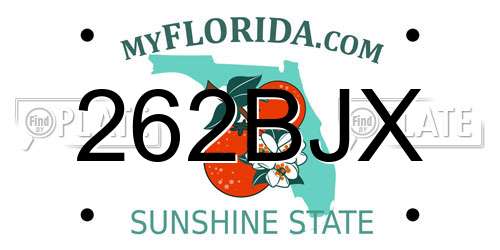 262BJX Florida License Plate