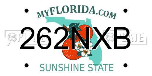 262NXB Florida License Plate