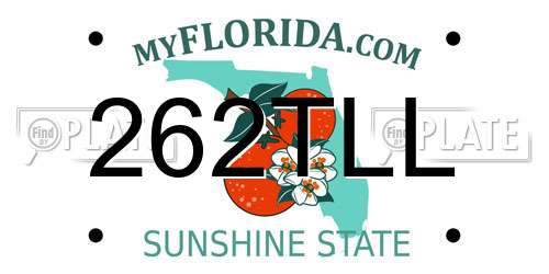 262TLL Florida License Plate