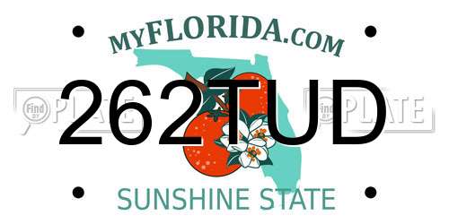 262TUD Florida License Plate