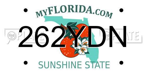 262YDN Florida License Plate