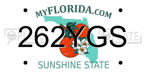 262YGS Florida License Plate