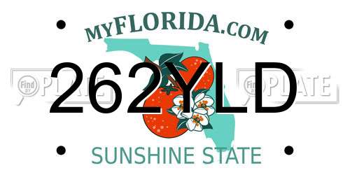 262YLD Florida License Plate