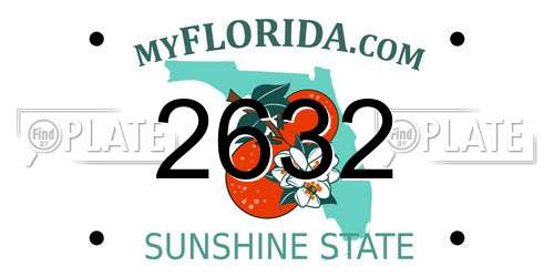 2632 Florida License Plate