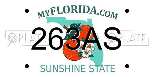 263AS Florida License Plate