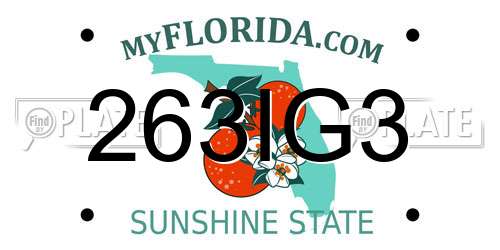 263IG3 Florida License Plate