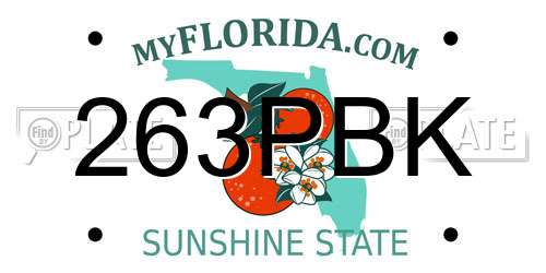 263PBK Florida License Plate