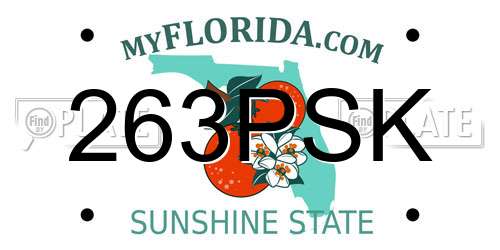 263PSK Florida License Plate