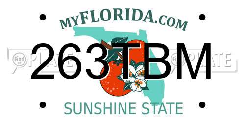 263TBM Florida License Plate